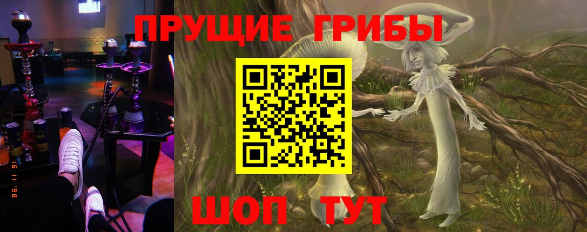 Мыски  Галлюциногенные грибы Magic Shrooms  Вход с VPN  Галлюциногенные грибы Magic Shrooms 